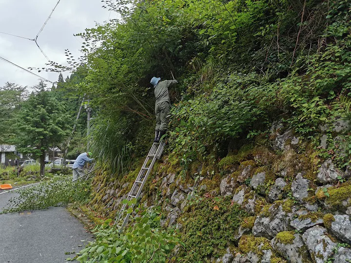 雑草・木々の管理