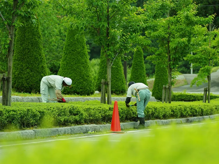 造園管理